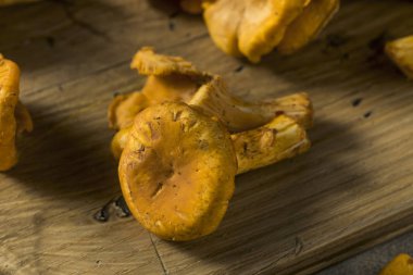 Ham portakal organik Cantharellus cibarius mantar