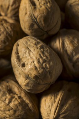 Ham kahverengi organik ceviz