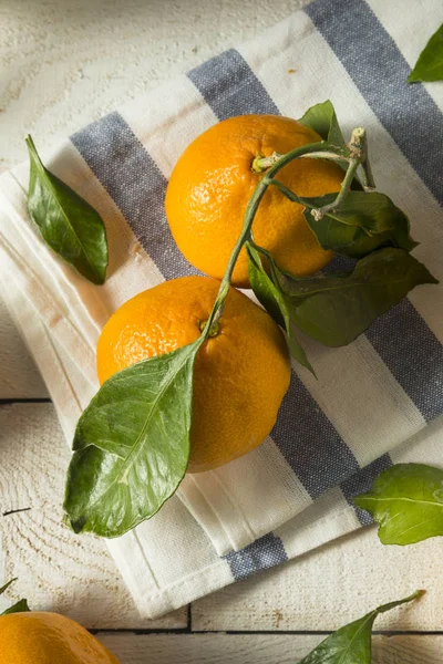 Healthy Raw Organic Satsuma Mandarin Oranges — Stock Photo, Image