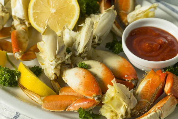 Fresh Caught Dungeness Crab — Stock Photo, Image