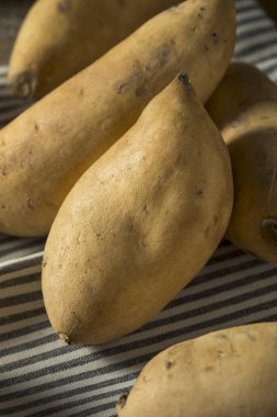 Ham organik beyaz tatlı patates