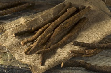 Ham kahverengi organik dulavratotu kökü