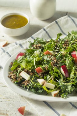Ham sağlıklı organik Kale ve elma salatası