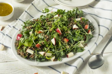 Ham sağlıklı organik Kale ve elma salatası
