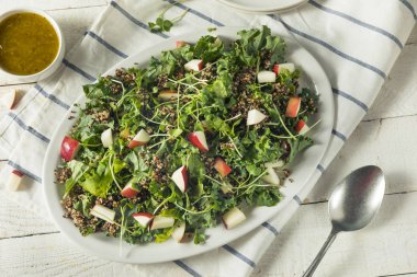 Ham sağlıklı organik Kale ve elma salatası