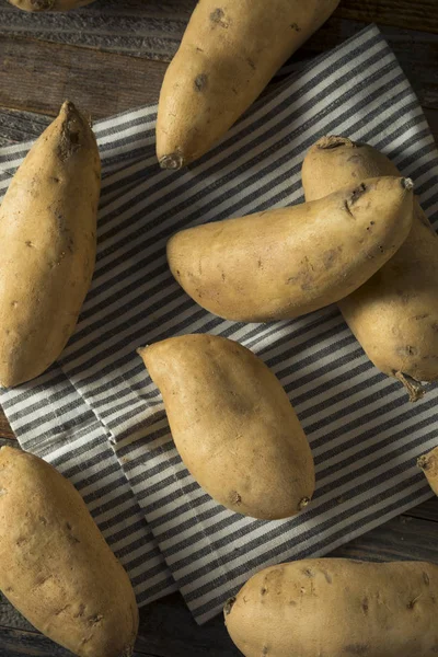 Сырой органический белый сладкий картофель — стоковое фото