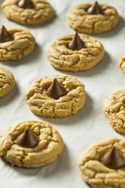 自家製の甘いピーナッツ バター チョコレート クッキー — ストック写真