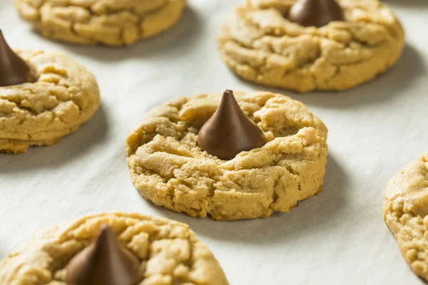 Homemade Sweet Peanut Butter Chocolate Cookies — Stock Photo, Image