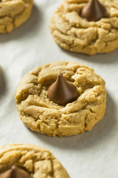Домашние шоколадные печенья с арахисовым маслом — стоковое фото