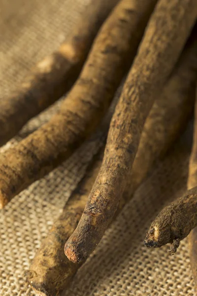 Raw Brown raíz de bardana orgánica —  Fotos de Stock