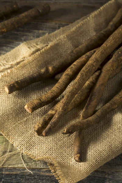 Raw Brown Organic Burdock Root — Stock Photo, Image