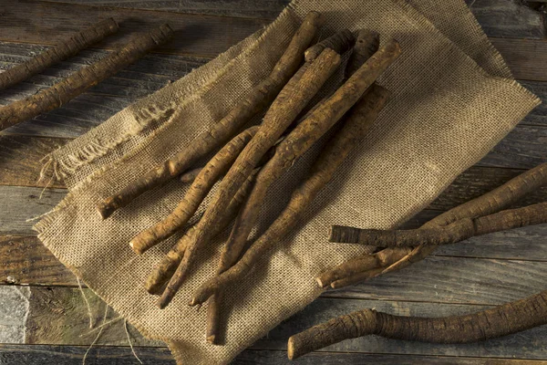 Raw Brown raíz de bardana orgánica —  Fotos de Stock