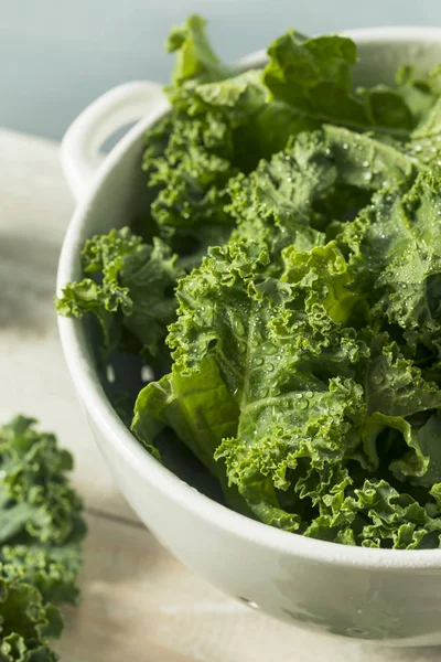 Raw Green Organic Curly Kale — Stock Photo, Image