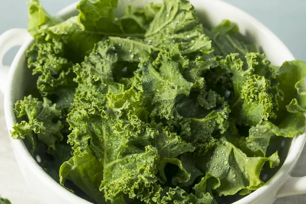 Raw Green Organic Curly Kale — Stock Photo, Image
