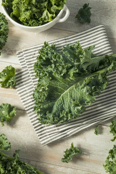 Raw Green Organic Curly Kale — Stock Photo, Image