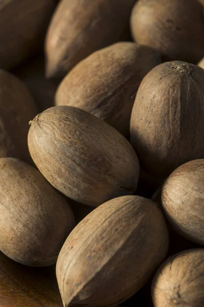 Raw Brown Organic Shelled Pecans — Stock Photo, Image