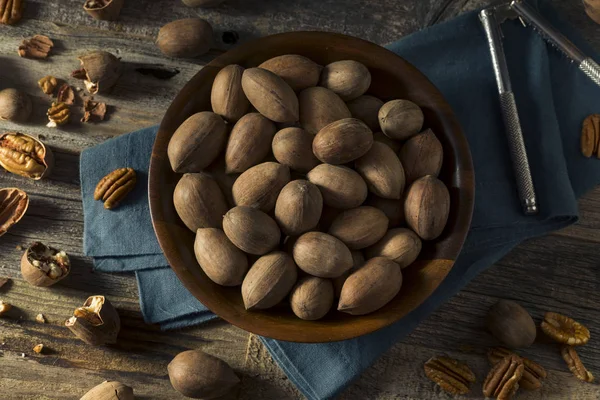 Raw Brown Organic Shelled Pecans — Stock Photo, Image