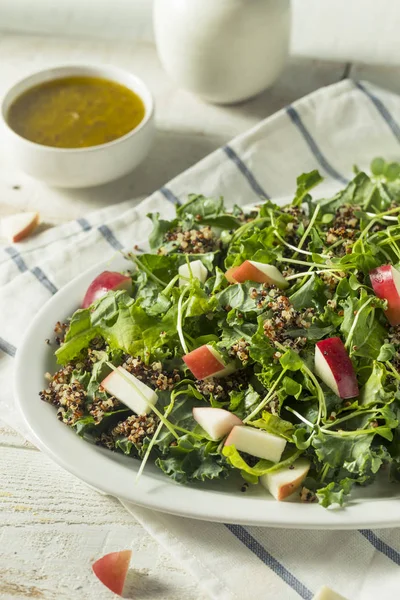 Roh gesunder Bio-Grünkohl und Apfelsalat — Stockfoto