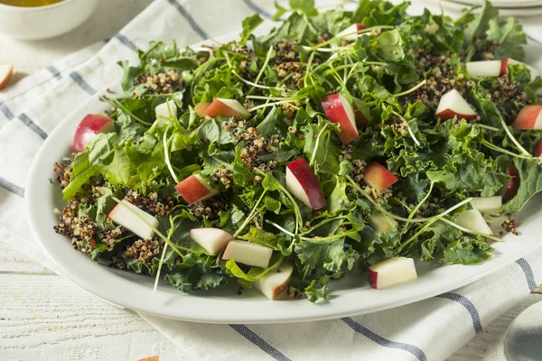 Здоровый органический капуста и яблочный салат — стоковое фото