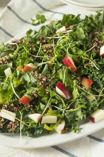 Couve orgânica saudável crua e salada de maçã — Fotografia de Stock