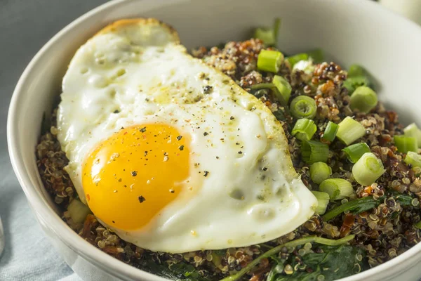 Bol de petit déjeuner au quinoa biologique sain — Photo