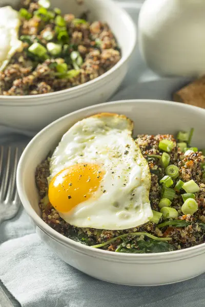 Bol de petit déjeuner au quinoa biologique sain — Photo
