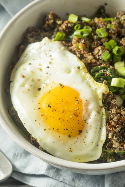 Bol de petit déjeuner au quinoa biologique sain — Photo