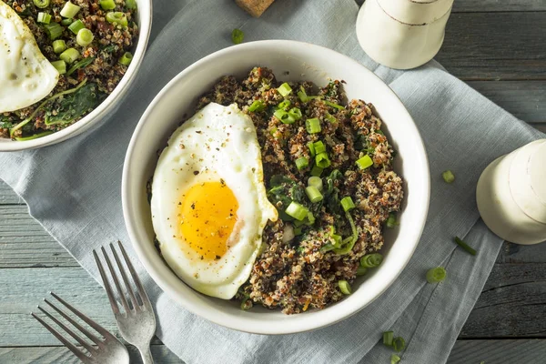Bol de petit déjeuner au quinoa biologique sain — Photo