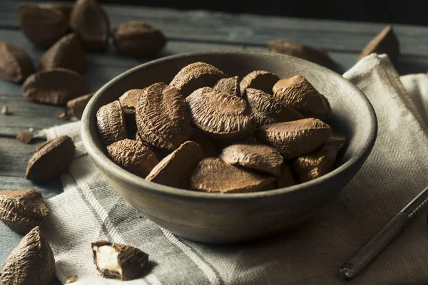 Nueces crudas de Brasil con cáscara orgánica marrón — Foto de Stock