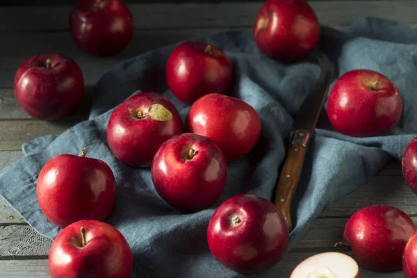 Pommes Macintosh biologiques rouges — Photo