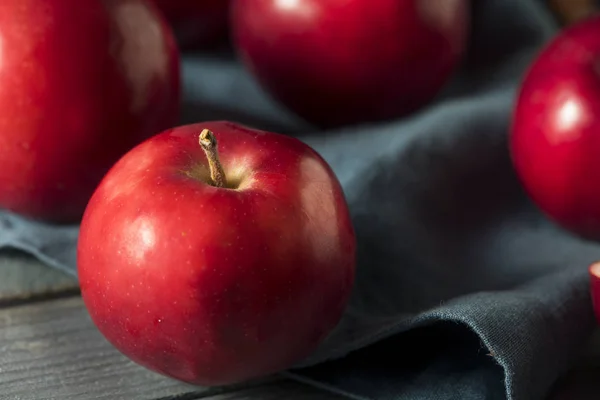 Manzanas rojas ecológicas Macintosh — Foto de Stock