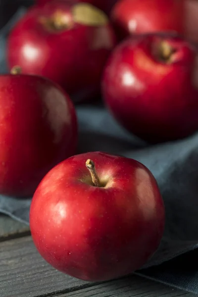 Κόκκινο Macintosh βιολογικά μήλα — Φωτογραφία Αρχείου