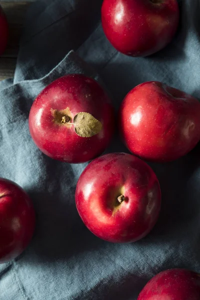 Red Organic Macintosh Apples — Stock Photo, Image