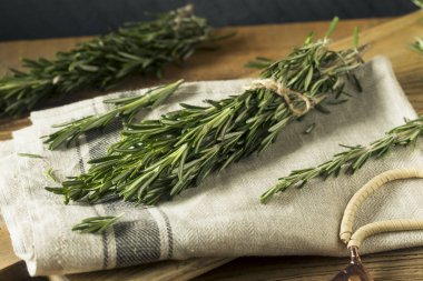 Ham yeşil organik biberiye otlar