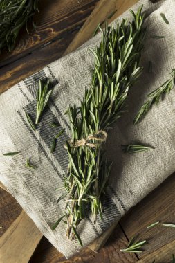 Ham yeşil organik biberiye otlar