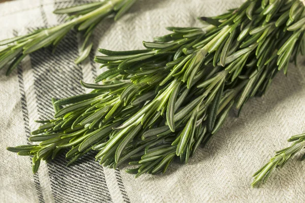 Nyers, zöld, szerves Rosemary gyógynövények — Stock Fotó