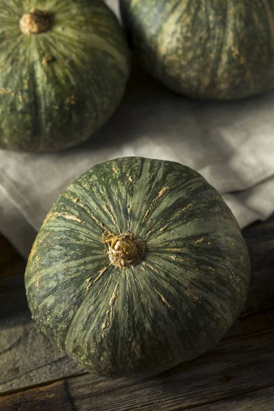 Сырой зеленый органический кабочинский сквош — стоковое фото