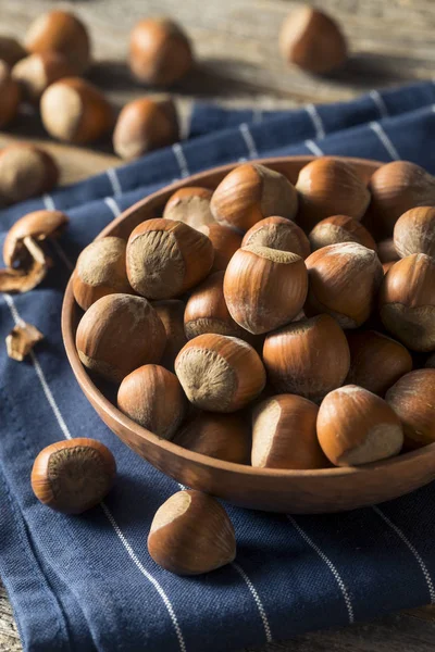 Raw Brown Organic Shelled Hazelnut Filberts — Stock Photo, Image