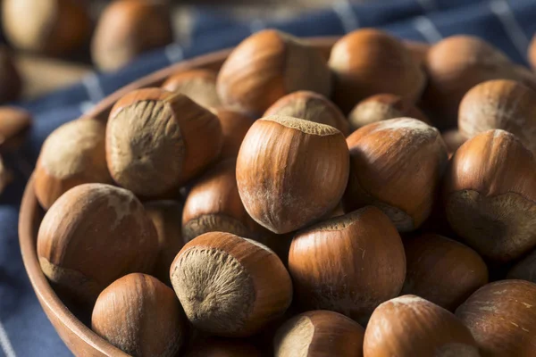 Raw Brown Organic Shelled Hazelnut Filberts — Stock Photo, Image