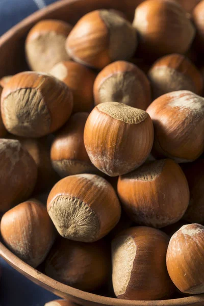 Raw Brown Organic Shelled Hazelnut Filberts — Stock Photo, Image