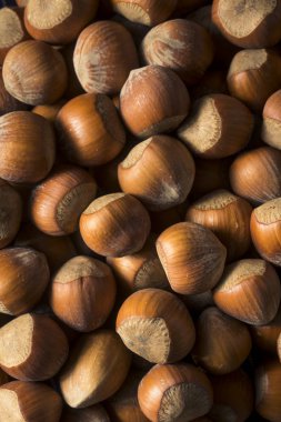 Ham Brown organik fındık kajuya kabuklu