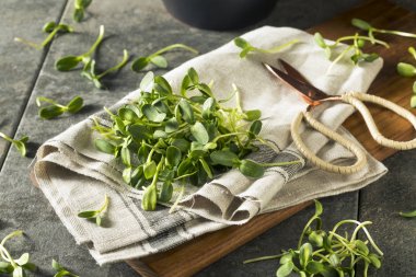 Ham yeşil organik ayçiçeği Microgreens