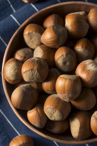 Raw Brown Organic Shelled Hazelnut Filberts — Stock Photo, Image