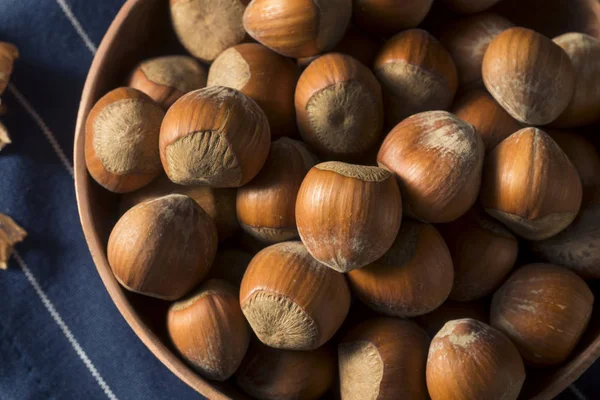 Raw Brown Organic Shelled Hazelnut Filberts — Stock Photo, Image