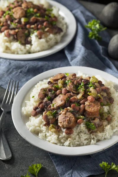 Fagioli rossi del sud e riso — Foto Stock