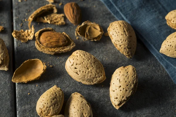 Raw Brown Organic Shelled Almonds — Stock Photo, Image