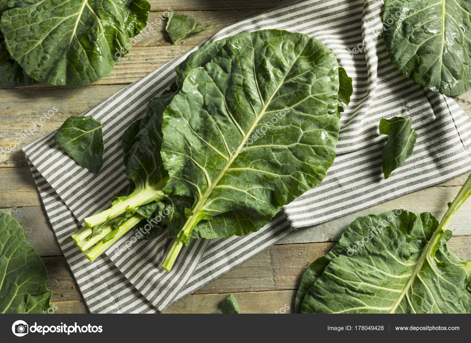 Замороженная капуста белокочанная. Можно ли заморозить листья капусты. Хранение капусты. Замороженная капуста белокочанная. Брюссельская капуста заморозка.