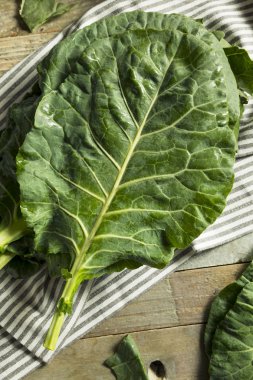 Ham yeşil organik Collard yeşillik