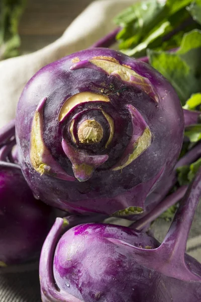 生有機紫コールラビ — ストック写真