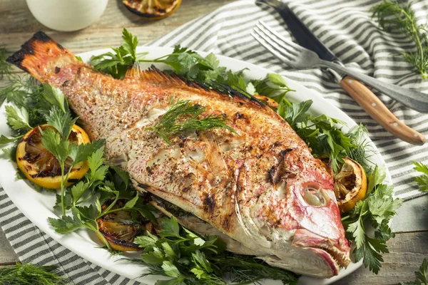 Ev yapımı ızgara tüm Red Snapper — Stok fotoğraf